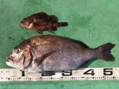 宝徳丸の2025年3月20日(木)3枚目の写真
