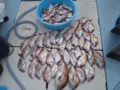 まお丸の2025年3月29日(土)1枚目の写真