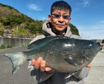 瀬渡し 磯の2025年4月1日(火)1枚目の写真