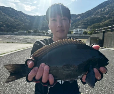 瀬渡し 磯の2025年4月1日(火)4枚目の写真