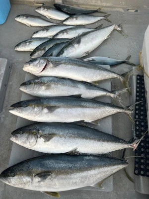 武蔵丸の2025年3月27日(木)5枚目の写真