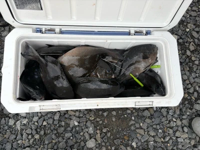 ふかしま丸の2025年4月2日(水)3枚目の写真