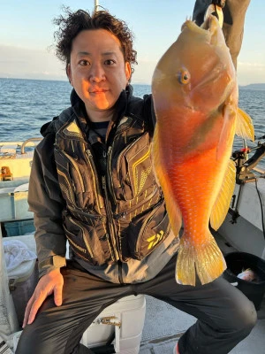 にゃんこ丸の2025年4月2日(水)2枚目の写真