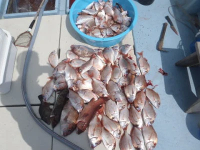 まお丸の2025年4月3日(木)1枚目の写真