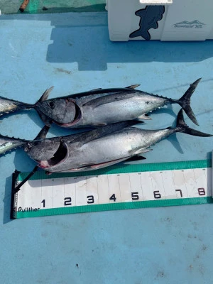 fishing boat 界 kaiの2025年4月8日(火)3枚目の写真