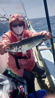 釣り船 秀進丸の2025年4月9日(水)1枚目の写真