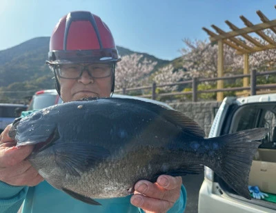 瀬渡し 磯の2025年4月9日(水)4枚目の写真
