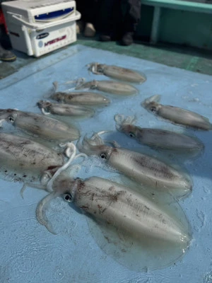 fishing boat 界 kaiの2025年4月12日(土)2枚目の写真