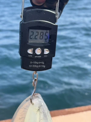 fishing boat 界 kaiの2025年4月12日(土)3枚目の写真