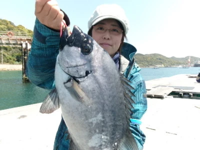 由良海つり公園&釣堀ランドの2025年4月14日(月)1枚目の写真