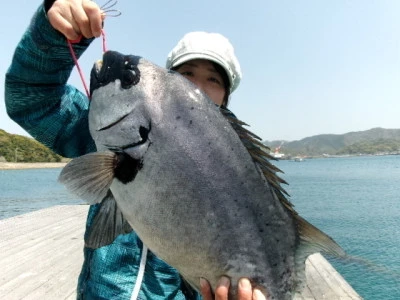 由良海つり公園&釣堀ランドの2025年4月14日(月)2枚目の写真