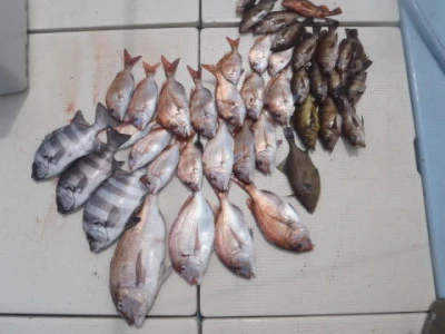 まお丸の2025年4月12日(土)1枚目の写真