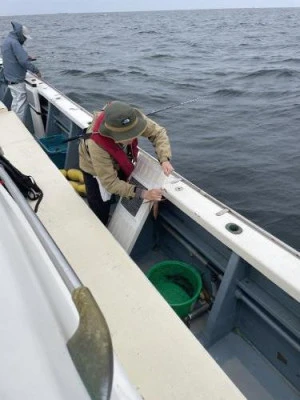 佐円丸の2025年4月20日(日)2枚目の写真