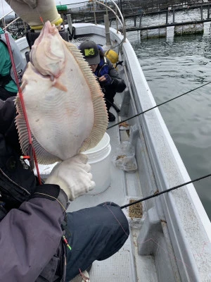 遊漁船 久丸の2025年4月24日(木)3枚目の写真