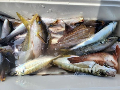 幸辰丸の2025年4月26日(土)1枚目の写真