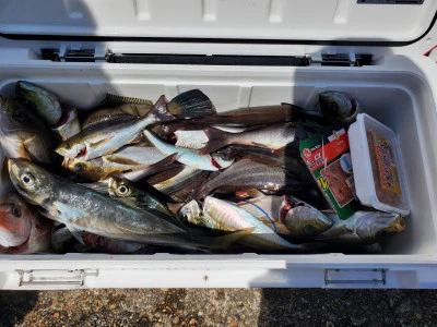 幸辰丸の2025年4月27日(日)3枚目の写真