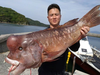 海斗の2025年4月27日(日)2枚目の写真