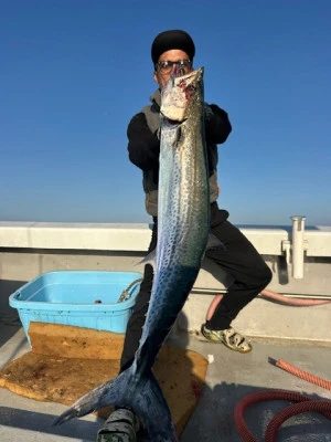 武蔵丸の2025年4月17日(木)5枚目の写真