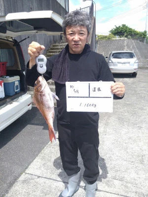 鶴丸の2025年5月4日(日)1枚目の写真