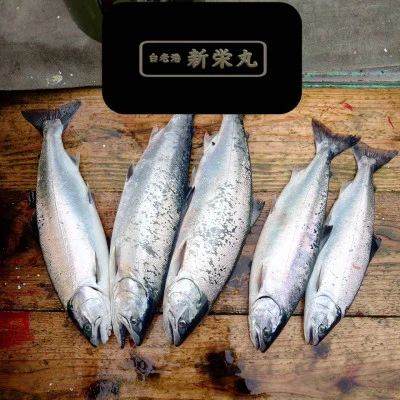 新栄丸の2025年5月4日(日)3枚目の写真