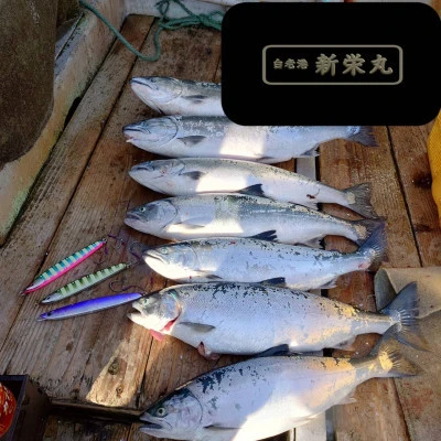新栄丸の2025年5月5日(月)1枚目の写真