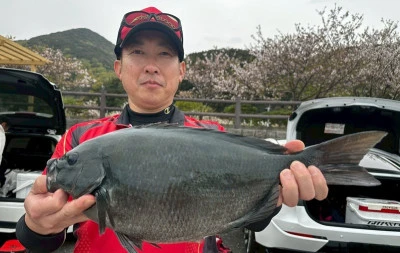 瀬渡し 磯の2025年4月12日(土)1枚目の写真