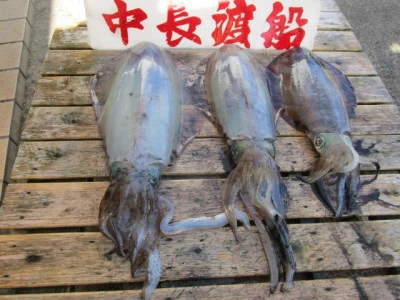 中長渡船の2025年5月8日(木)2枚目の写真