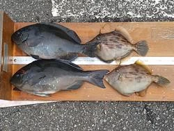 山洋渡船の2025年3月13日(木)1枚目の写真