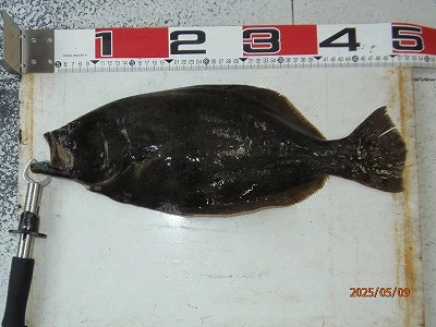 奥田つり具店の2025年5月9日(金)2枚目の写真