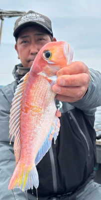 さくらの2025年5月11日(日)4枚目の写真