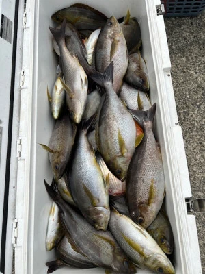 釣り船 黒潮丸の2025年5月16日(金)1枚目の写真