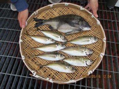 尼崎市立魚つり公園の2025年5月16日(金)2枚目の写真