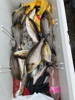 釣り船 黒潮丸の2025年5月17日(土)2枚目の写真