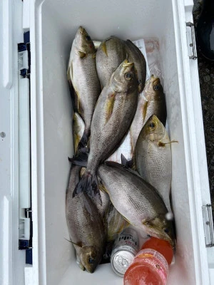釣り船 黒潮丸の2025年5月17日(土)3枚目の写真