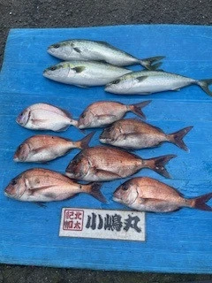 小嶋丸の2025年5月18日(日)1枚目の写真