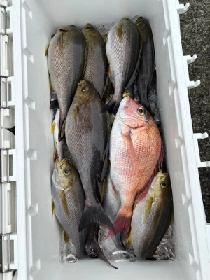 釣り船 黒潮丸の2025年5月18日(日)1枚目の写真