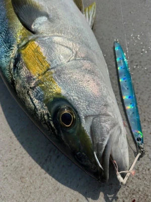 武蔵丸の2025年5月14日(水)3枚目の写真