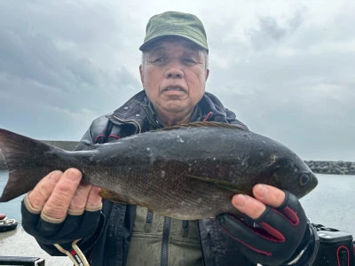 瀬渡し 磯の2025年5月10日(土)4枚目の写真