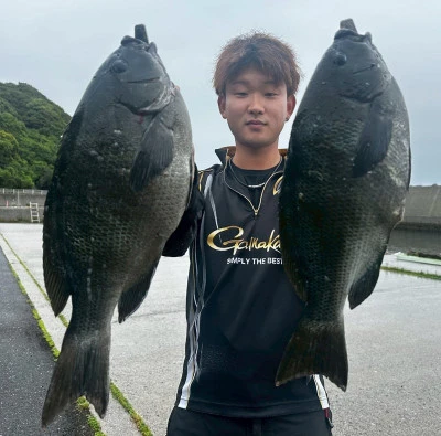 瀬渡し 磯の2025年5月11日(日)4枚目の写真