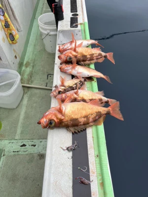 海照丸の2025年5月17日(土)3枚目の写真