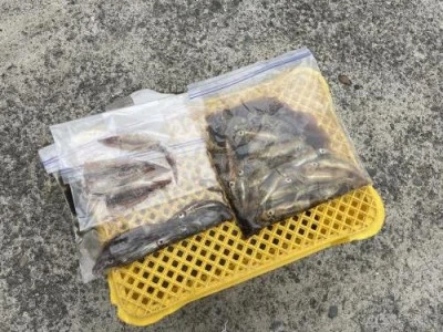 佐円丸の2025年5月19日(月)2枚目の写真