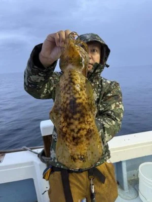 菜々海IIの2025年5月20日(火)4枚目の写真