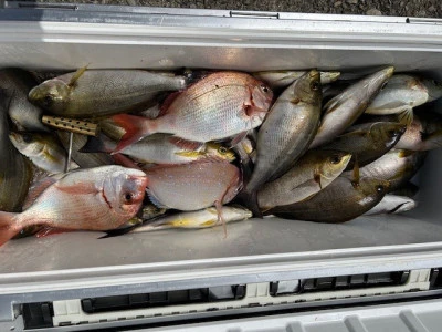 釣り船 黒潮丸の2025年5月21日(水)2枚目の写真