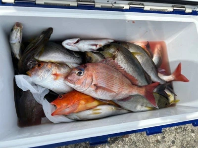 釣り船 黒潮丸の2025年5月21日(水)3枚目の写真