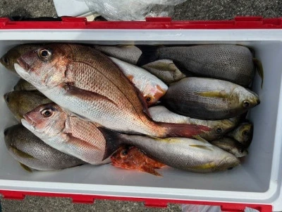 釣り船 黒潮丸の2025年5月21日(水)4枚目の写真