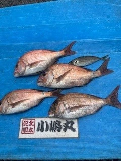 小嶋丸の2025年5月21日(水)1枚目の写真