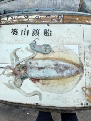 築山渡船の2025年5月22日(木)1枚目の写真