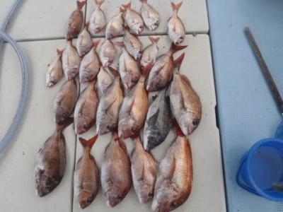 まお丸の2025年5月15日(木)1枚目の写真