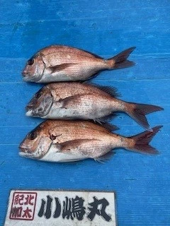 小嶋丸の2025年5月25日(日)1枚目の写真