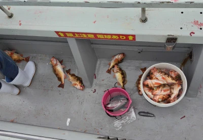 遊漁船ビックボーイの2025年5月24日(土)4枚目の写真